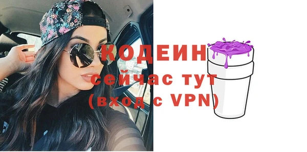тгк Дмитриев