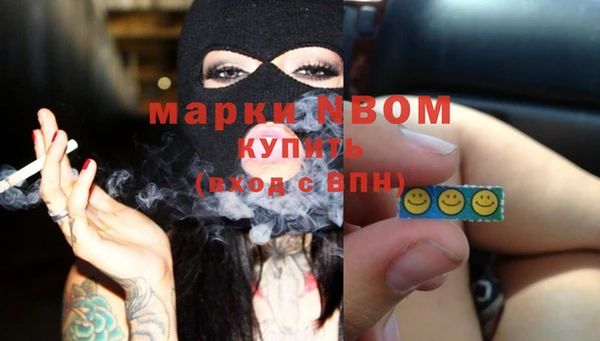 тгк Дмитриев
