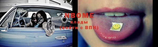 тгк Дмитриев
