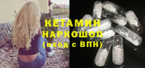 тгк Дмитриев