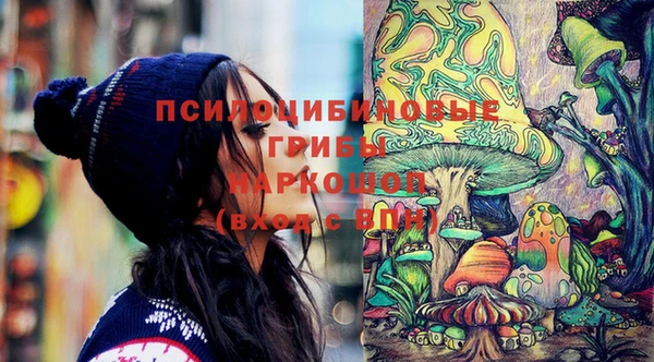 тгк Дмитриев