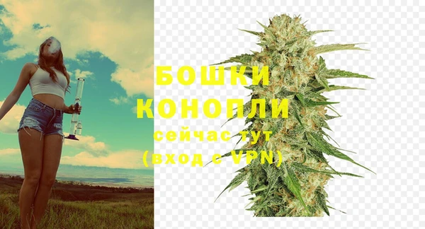 дживик Дмитров
