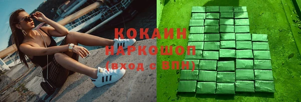 тгк Дмитриев