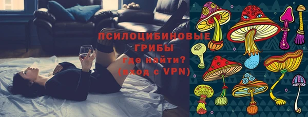 тгк Дмитриев