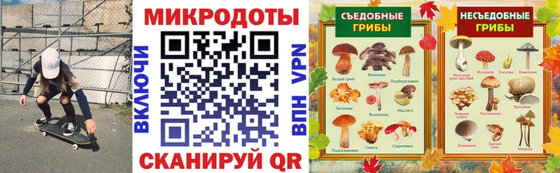 Купить закладки  Киреевск  Галлюциногенные грибы Magic Shrooms 